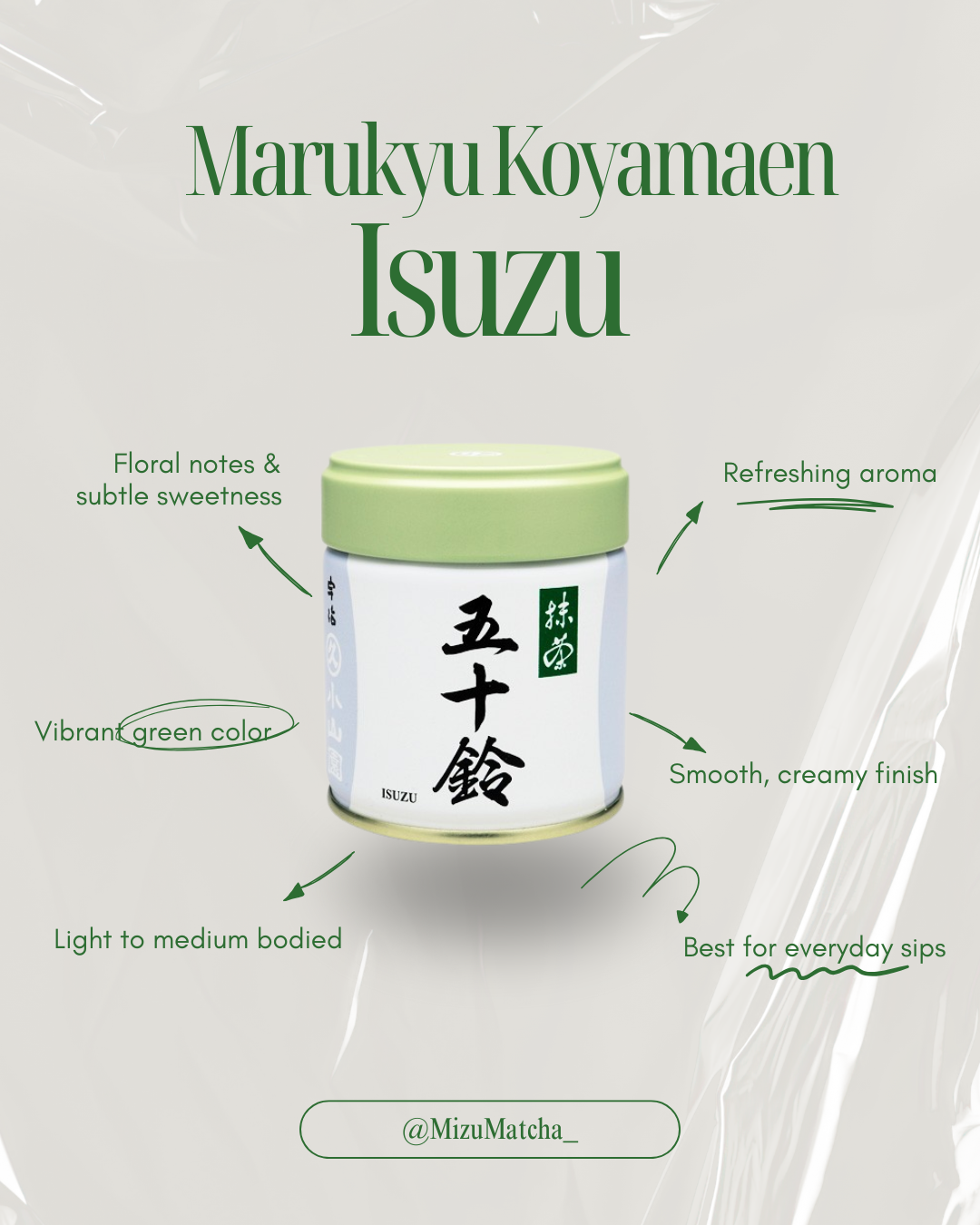 Matcha Isuzu | Marukyu Koyamaen | 100g Bag