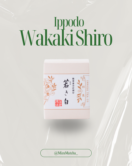 Matcha Wakaki | Ippodo | 40g Box
