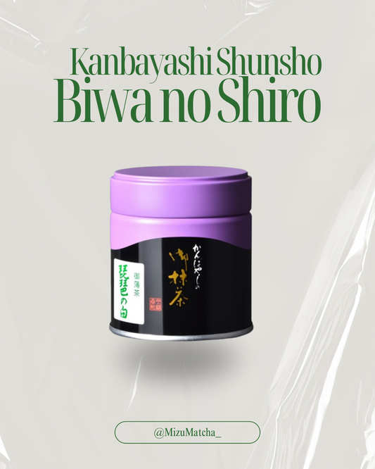Matcha Biwa no Shiro | Kanbayashi Shunsho | 40g Tin