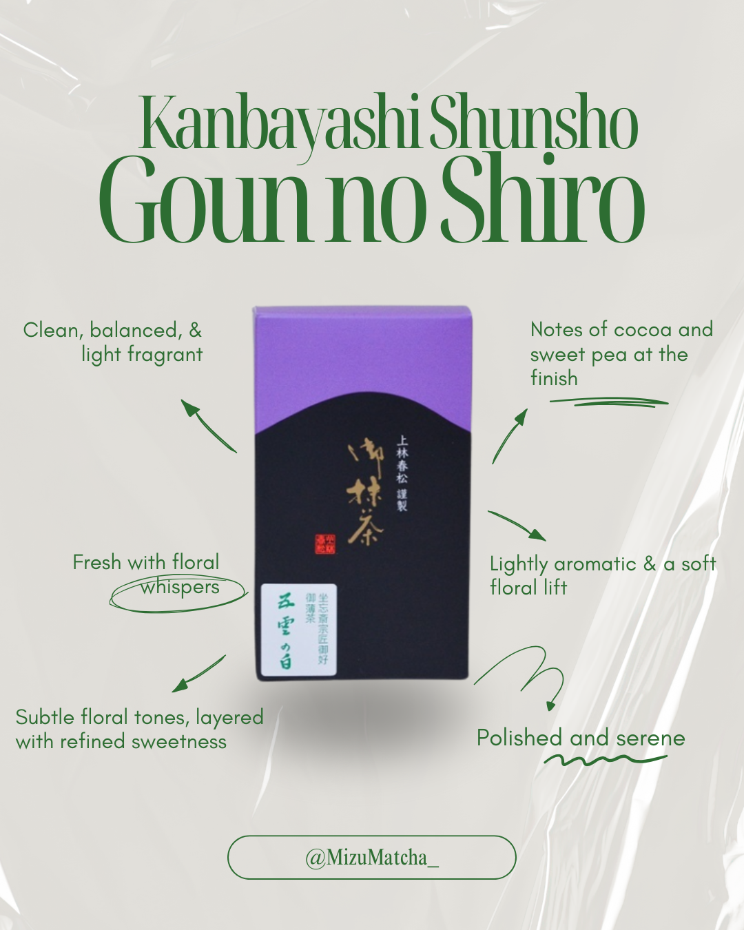 Matcha Goun no Shiro | Kanbayashi Shunsho | 40g Tin