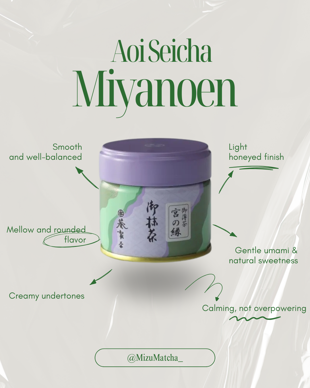 Matcha Miyanoen | Aoi Seicha | 30g Tin
